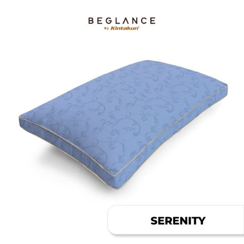 Beglance Microfiber Pillow 50 x 70
