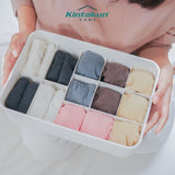 Kintakun Home Alie Kotak Penyimpanan dengan Sekat