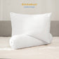 Kintakun Cotton Feel Mix & Match Sprei Pocket Varian Bright White Tinggi 30 cm