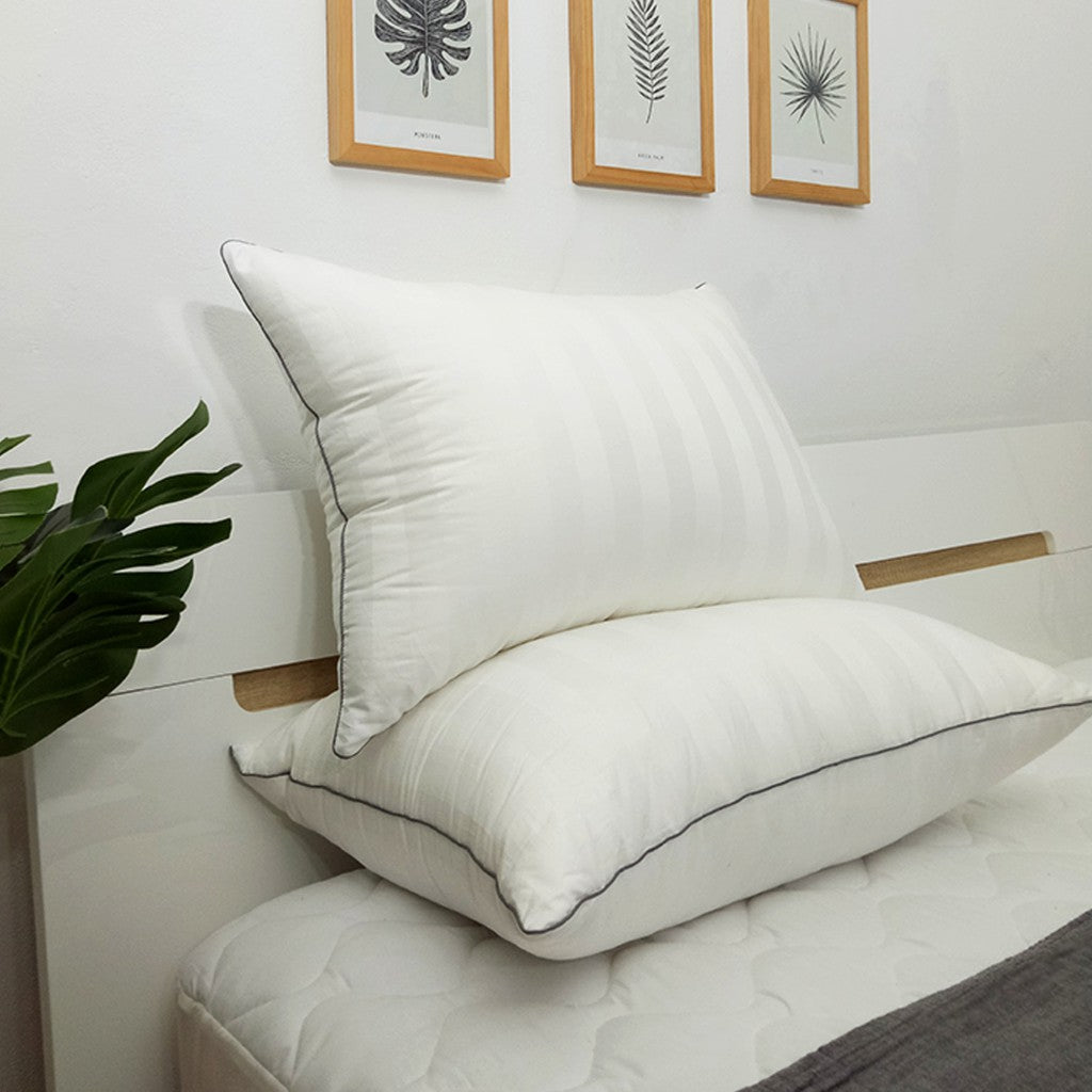 Beglance Bantal Premium 50 x 70 cm