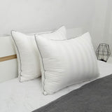 Beglance Bantal Premium 50 x 70 cm