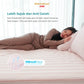 Kintakun Dluxe Sprei Duo 2in1 Tinggi 30cm Motif Morence