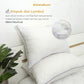 Kintakun Bantal Dacron Luxury Anti Bakteri 50 x 70